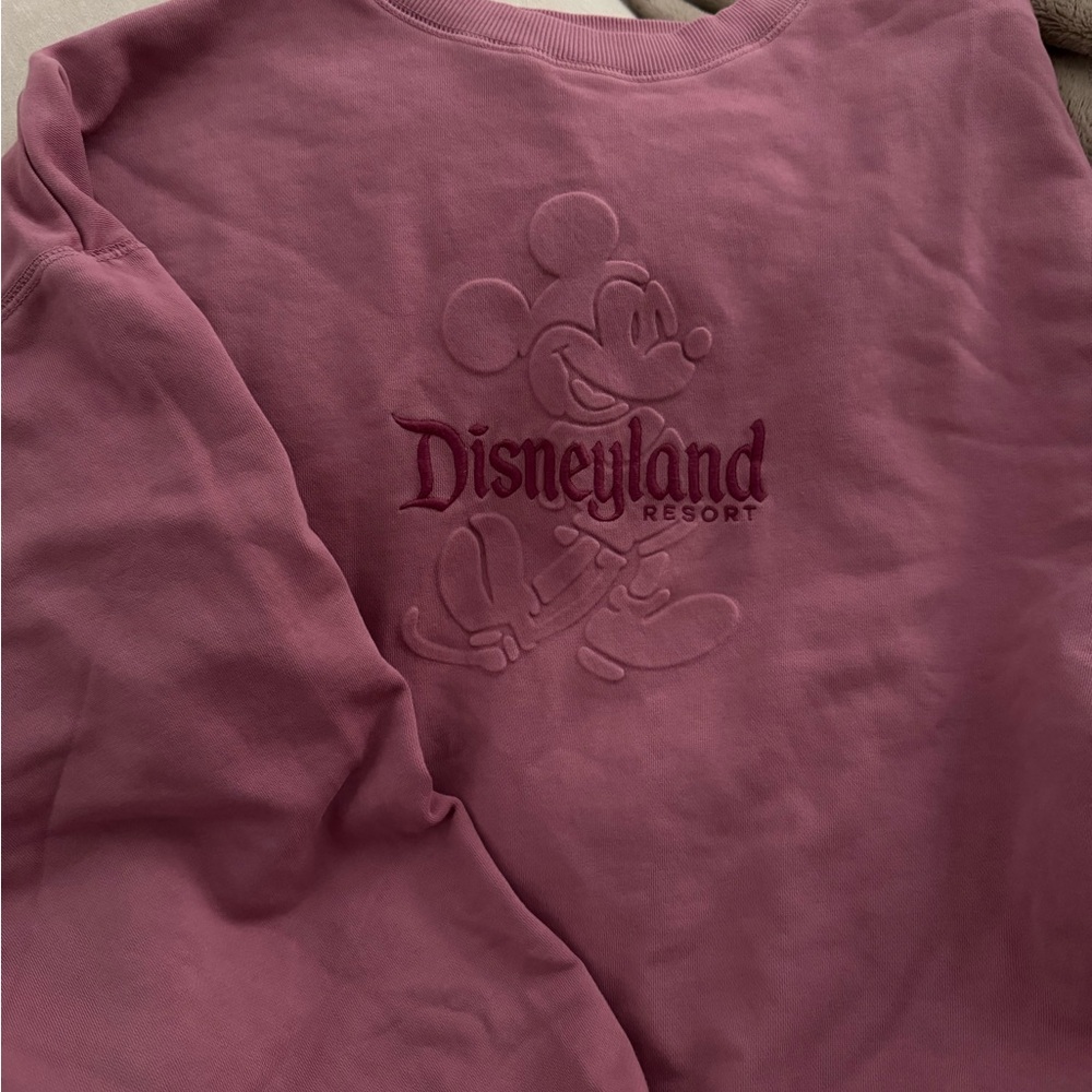 Disneyland Resort Pink Sweatshirt